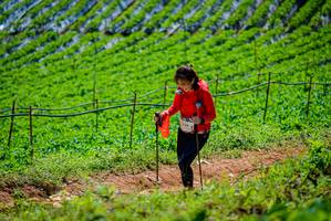 BIB: 926
                            <button type="button" onclick="openModal(19164376)" class="btn btn-primary btn-sm float-right btn-popup" data-toggle="modal" data-target=".modal-high-quality">
                        <i class="fas fa-shopping-cart"></i> Add to Cart
                    </button>
                                            <button type="button" onclick="isThisMe(19164376, true)" class="btn btn-success btn-sm float-right btn-popup btn-isme hidden" data-toggle="tooltip" data-placement="bottom" title="นี่คือรูปของคุณใช่ไหม คลิกที่นี่เพื่อเอาเข้าอัลบั้ม">
                        <i class="fas fa-plus"></i> Add to album
                    </button>
                    <button type="button" onclick="isThisMe(19164376, false)" class="btn btn-warning btn-sm float-right btn-popup btn-isnotme hidden">
                        <i class="fas fa-ban"></i> Remove from album
                    </button>